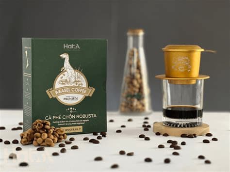 Experience the Exquisite Aroma and Sweet Finish of Premium Civet Coffee