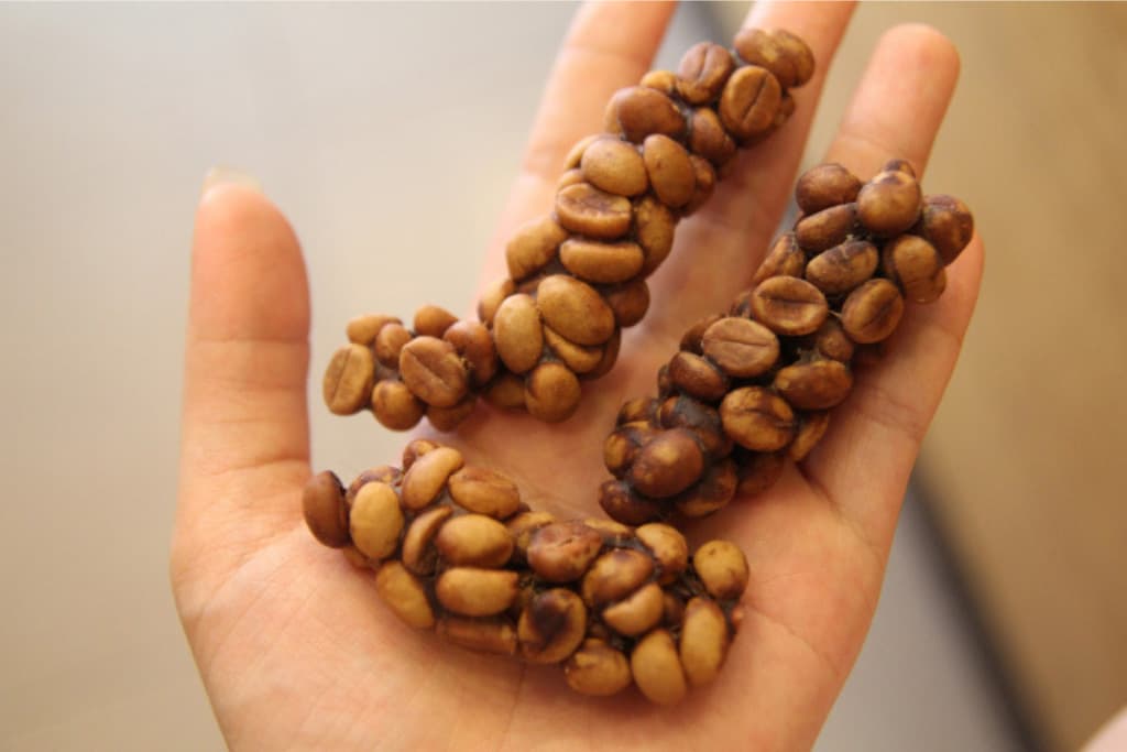 Discover the Secret to Exceptional Coffee with Premium Weasel Beans