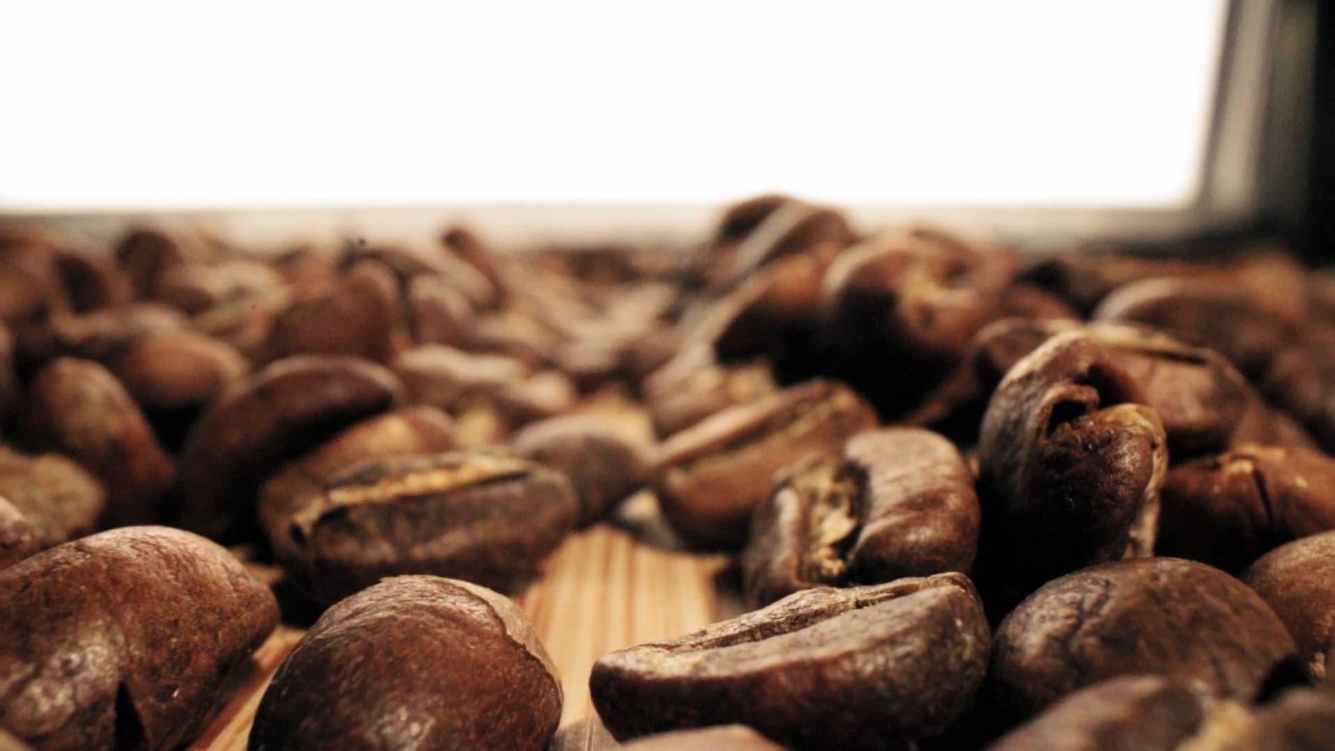 Coffee from Poop: The Rise of Waste Brewing Controversy