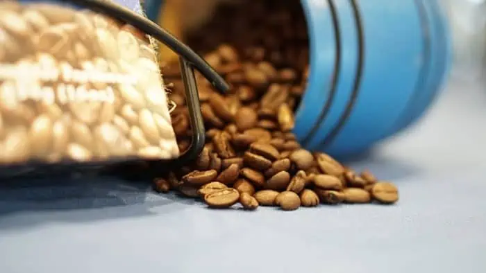 Discover Jamaican Blue Mountain Coffee: A Brew Sensation